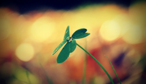 圣埃蒂安客战里尔：绿衫军能否在梅纳莫球场书写历史？