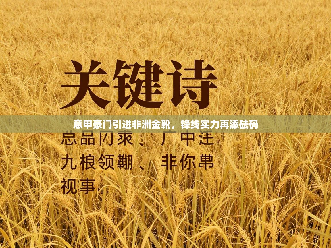 意甲豪门引进非洲金靴，锋线实力再添砝码