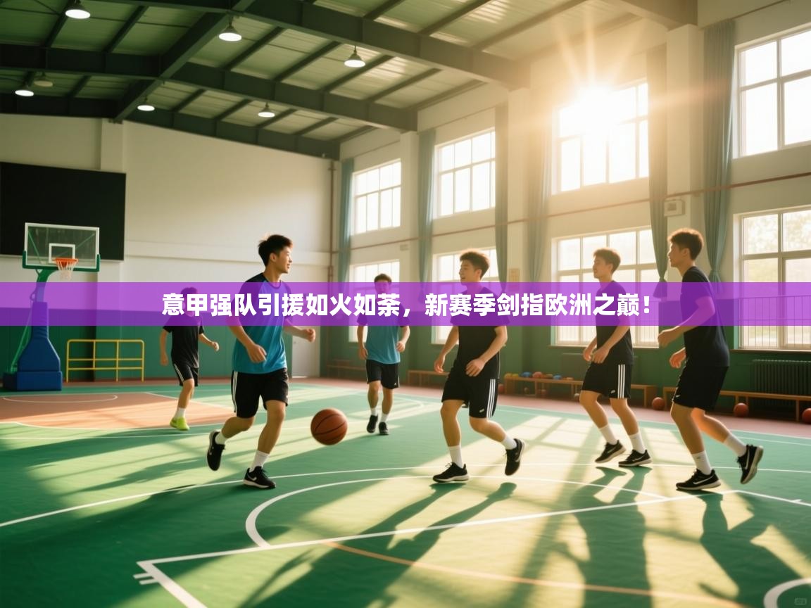 意甲强队引援如火如荼，新赛季剑指欧洲之巅！  第2张